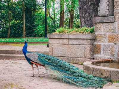 Jaipur Tour Package 3 Nights 4 Days