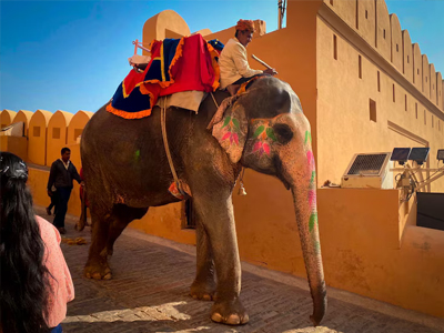 Jaipur Tour Package for Family For 5 Days