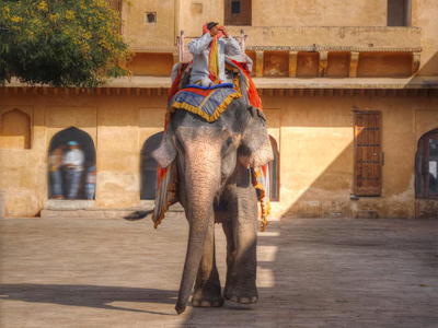 Top Jaipur Tour Package for Family For 4 Days