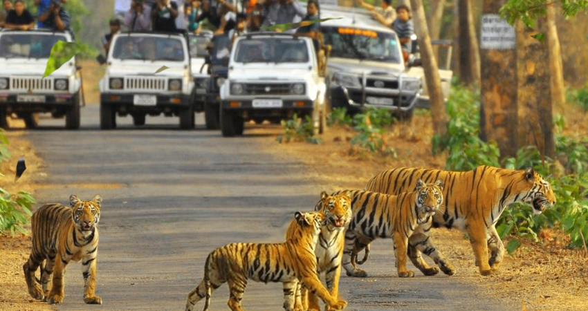 rajasthan tour
