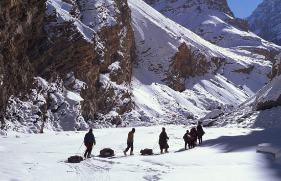 ladakh treking