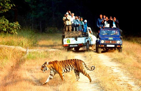 rajasthan wildlife tour